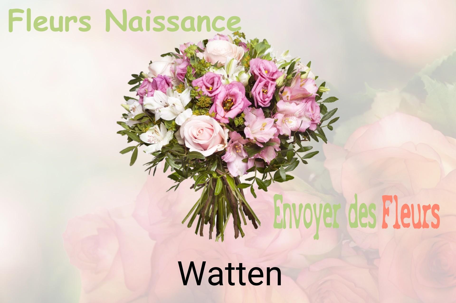 Bouquet de fleurs de naissance livré à Watten